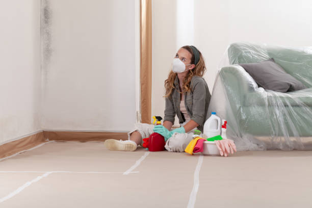 Reliable Mold Remediation contractor in Fayetteville, NC by Cheap Mold Removal